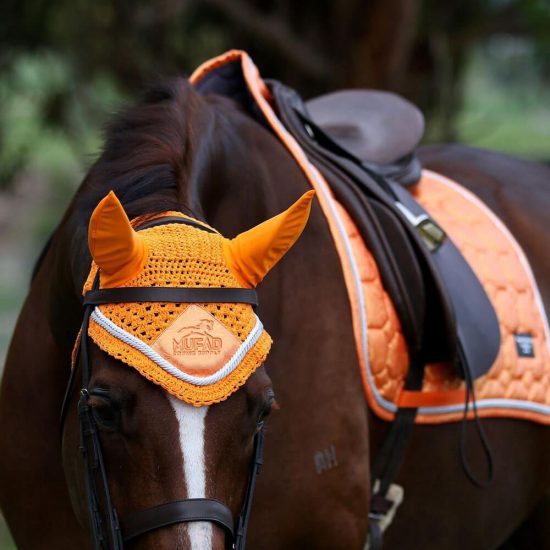 24514084-95ea-4400-bed7-695f429b0155