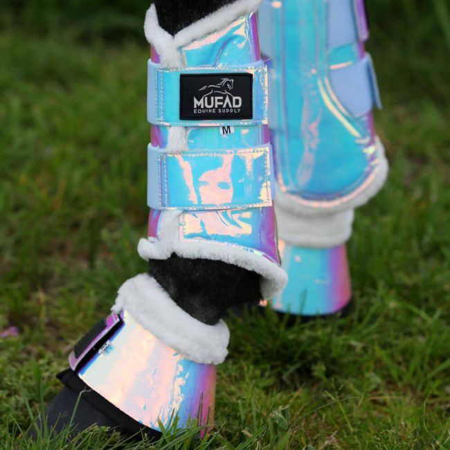 2fcd7246-1a27-46c8-8d82-db2d6c62a21d