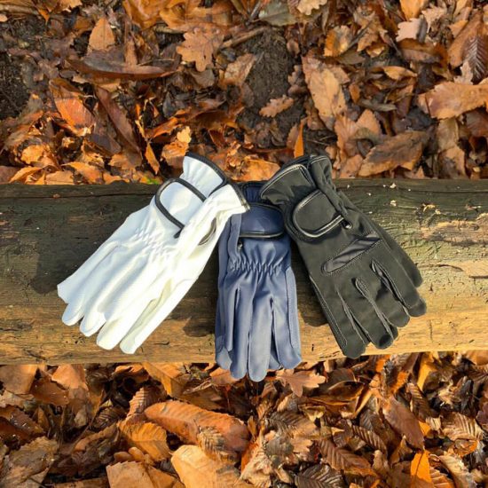 cae7b9aa-eca0-478f-b881-68837a50d3ec